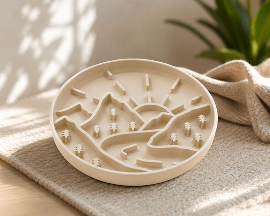 Slow Feeder Bowl
