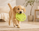 Soft Flying Disc For Dogs