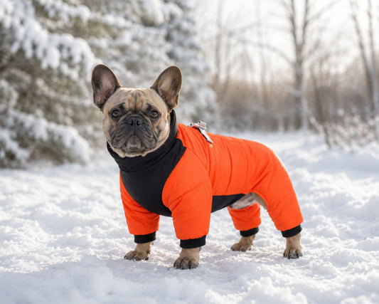 Winter Dog Jumpsuit-Waterproof & Warm