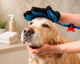 3 In 1 Pet Grooming Glove